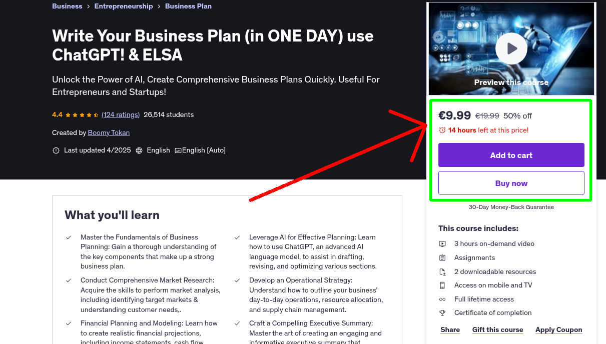 Write Your Business Plan (in ONE DAY) use ChatGPT! & ELSA